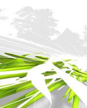 - - wallpaper preview