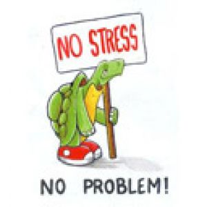 No stress No problem