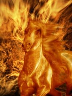 Horse in the Fire