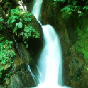 Dominica Waterfall