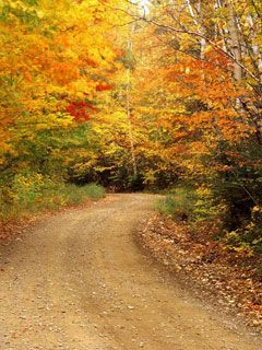 Autumn-Color Baxter-State-Park Maine