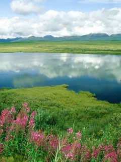 Alaska-Range -Alaska