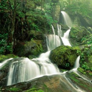 Cliff Branch Falls Great Smoky Mountains National-