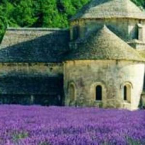 Provence - Abbaye