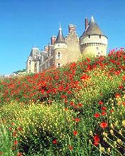 Loire - wallpaper preview