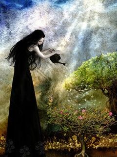 - - wallpaper preview