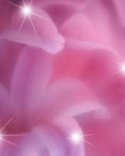 - - wallpaper preview