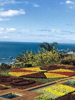 Madeira - wallpaper preview