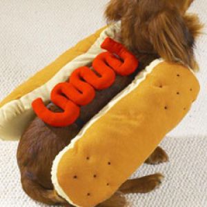 Hot Dog Ketchup small