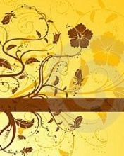 - - wallpaper preview