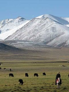 Tibet - wallpaper preview