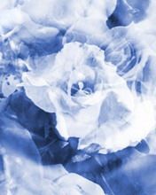 - - wallpaper preview