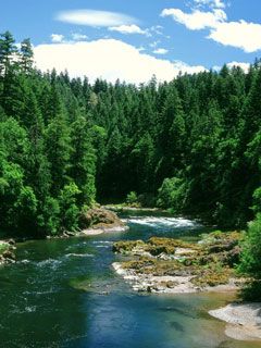 Umpqua River - Douglas County - Oregon