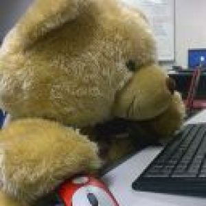teddy za PC
