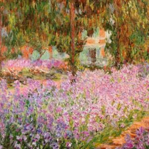 Irises in Monets Garden