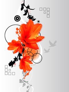 - - wallpaper preview
