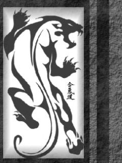- - wallpaper preview