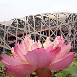 Beijing Olympic Station 2008
