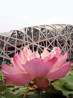 Beijing Olympic Station 2008