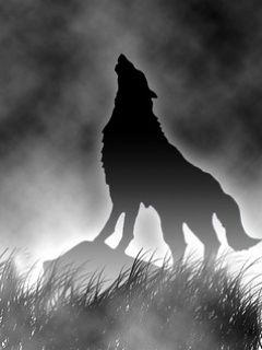 Wolf - wallpaper preview