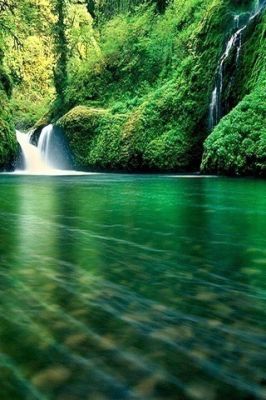 - - wallpaper preview