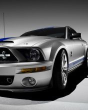 GT Shelby