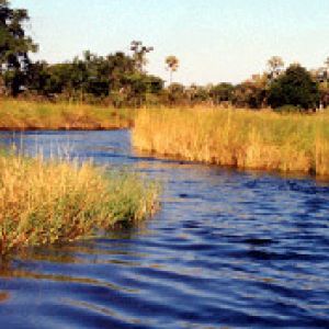 Boro River, Botswana 