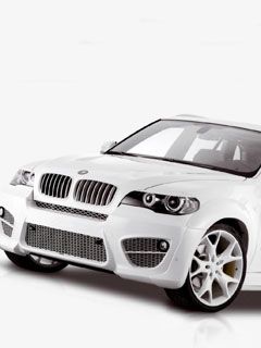 BMW x530 