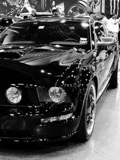 Mustang gt 500