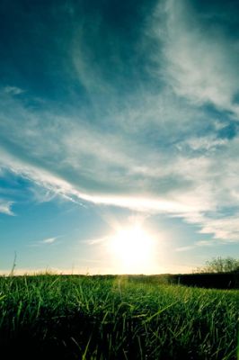 Grassy Sunset  - wallpaper preview