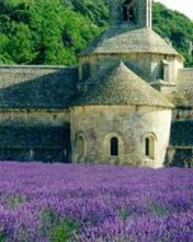 Provence Abbaye