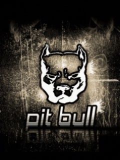 Pit Bull