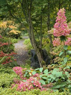 Bellevue Botanical Garden - Washington