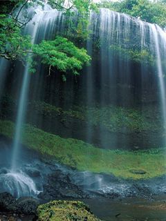 Waterfall - Palau - Micronesia