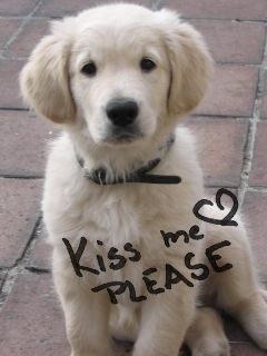 Kiss me Please
