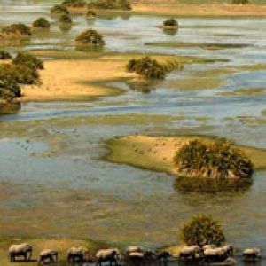 Safari by Botswana - Odyssey
