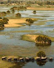 Safari by Botswana - Odyssey