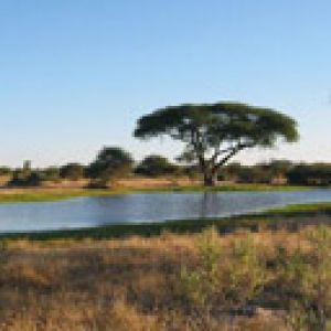 Sandibes Botswana