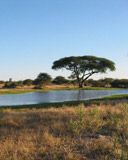 Sandibes Botswana