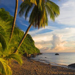 Dominica Beaches