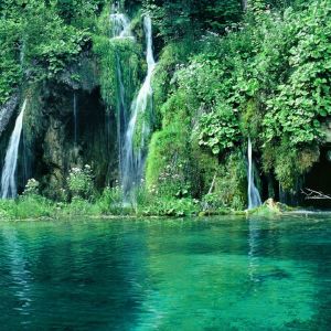 Croatia - Green Forest and Waterfall