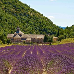 Provence Franciaország