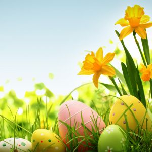 Húsvéti tojások és nárciszok